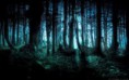 El Bosque de las Almas perdidas